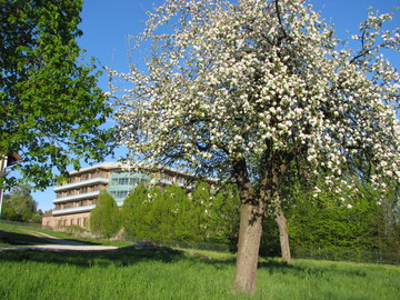 PV im Fruehling